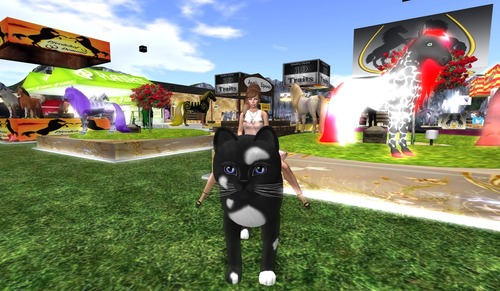 Web 52373f2c5584884dd0000001