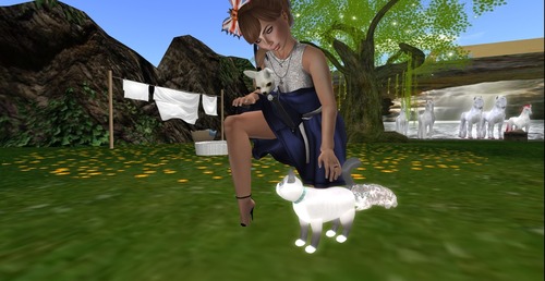 Web 523881b8a30e646283000001