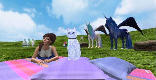 Web 523b831ec17c3a75c8000001