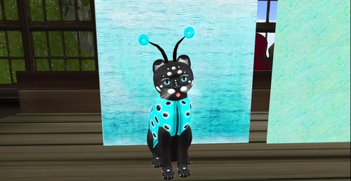 Web 52630dcdd6069a3aaf000001