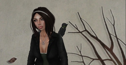 Web 52686fa722c3dd7543000001