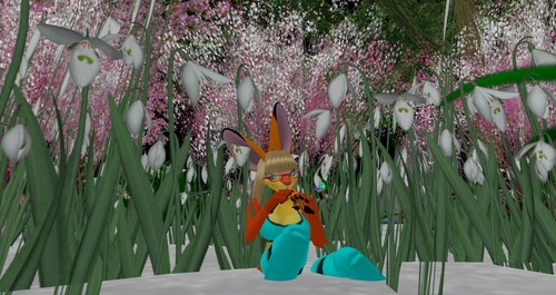 Web 52a87069309f915551000001