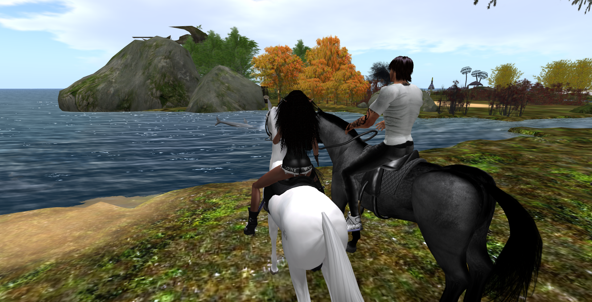 Original 5220b9d0ccdcaa6019000001