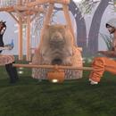 Thumb 5b14b7bfd9859c129e000001