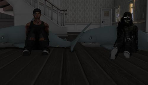 Web 5aee4a7dd774f815a1000001