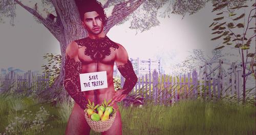 Web 5b19353ed774f827b4000001