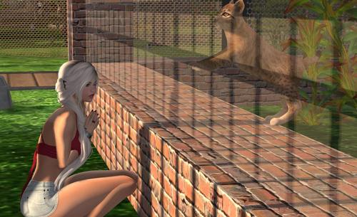 Web 5b3a7decd9859c307c000001