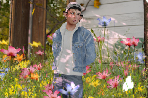 Web 6367d382aa55764d28b98410