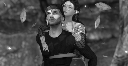 Web 63714c872c50cb178841ded0