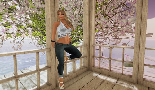 Web 55209ea2128cc929e9000001