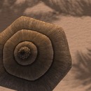 Thumb 51b25c2199c5932381000001