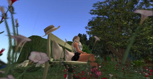 Web 51eb8513dadf5c563e000001