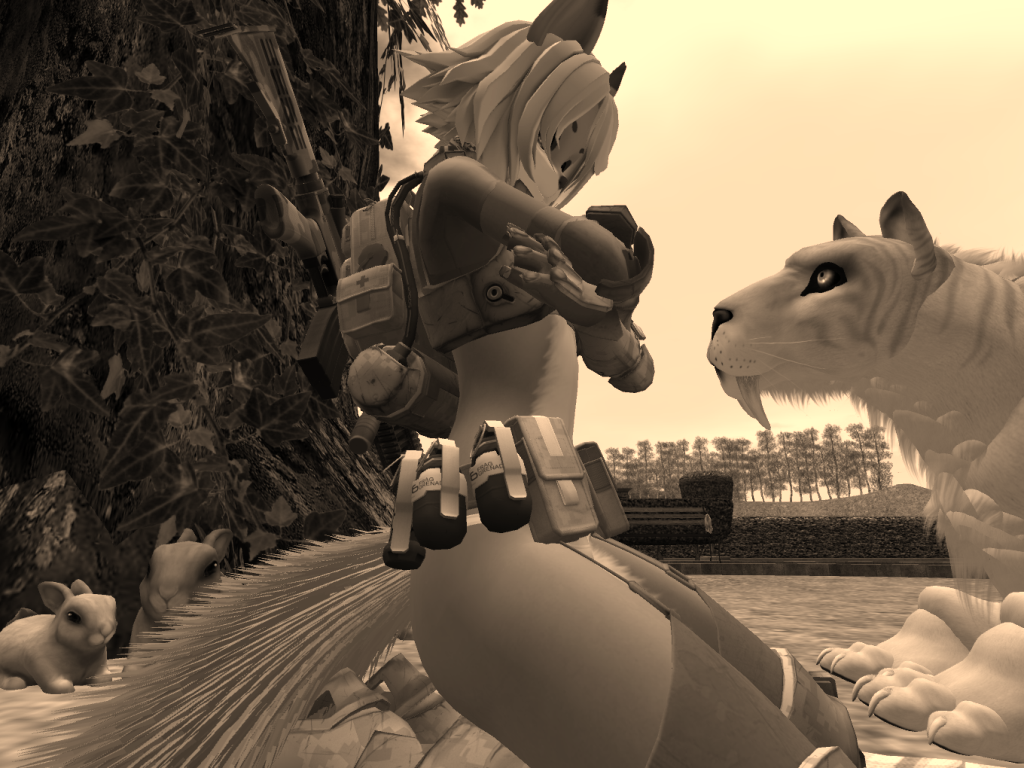 Original 55ccfcb3f8a1ec6a7f000001