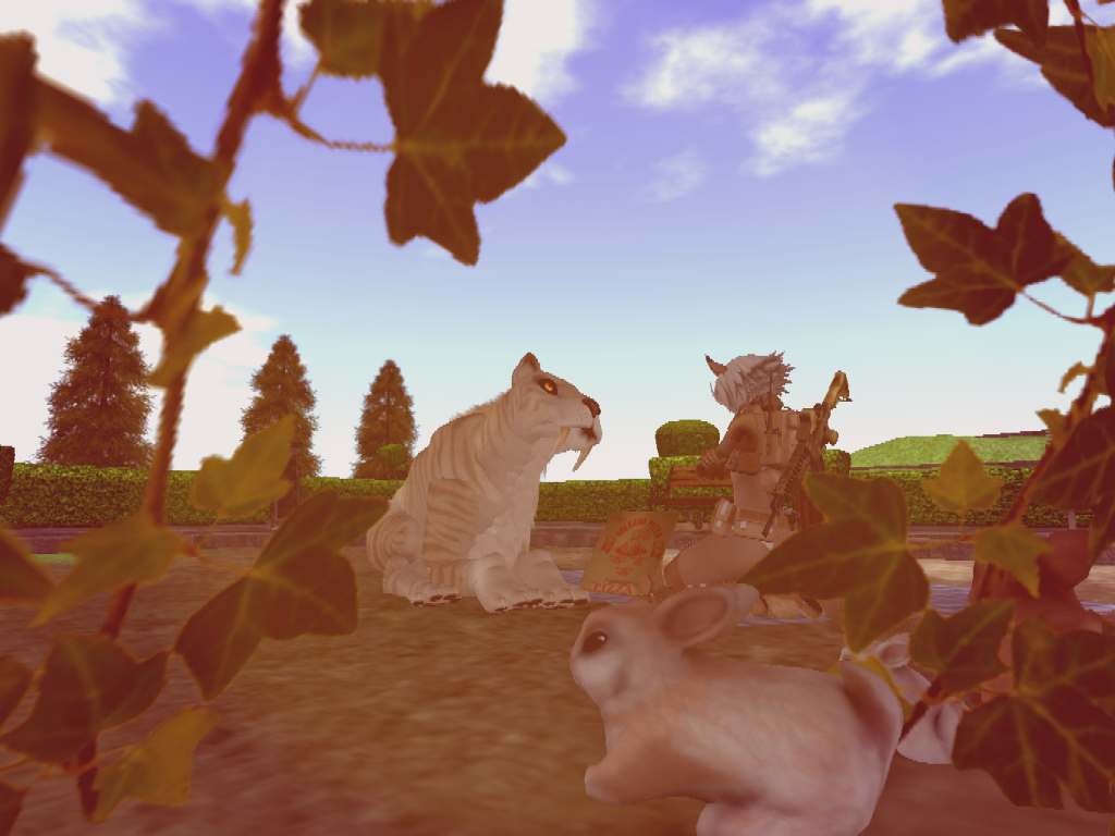 Original 55cd00f38da5722dcf000001