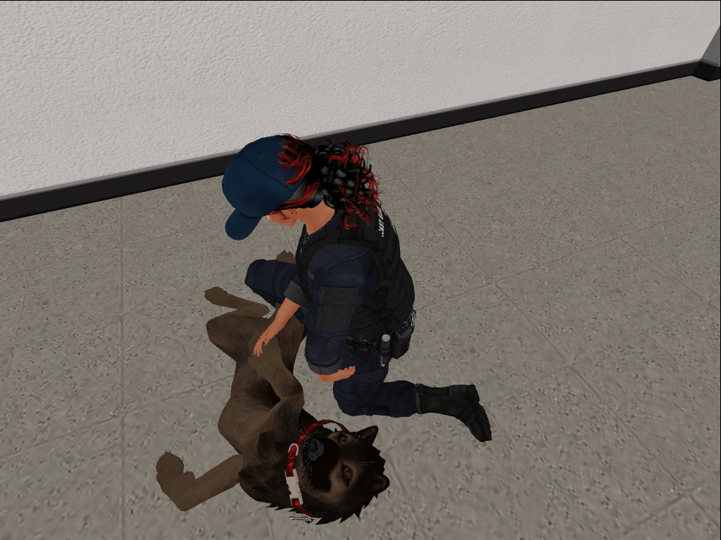 Original 562804e8128cc9055e000001