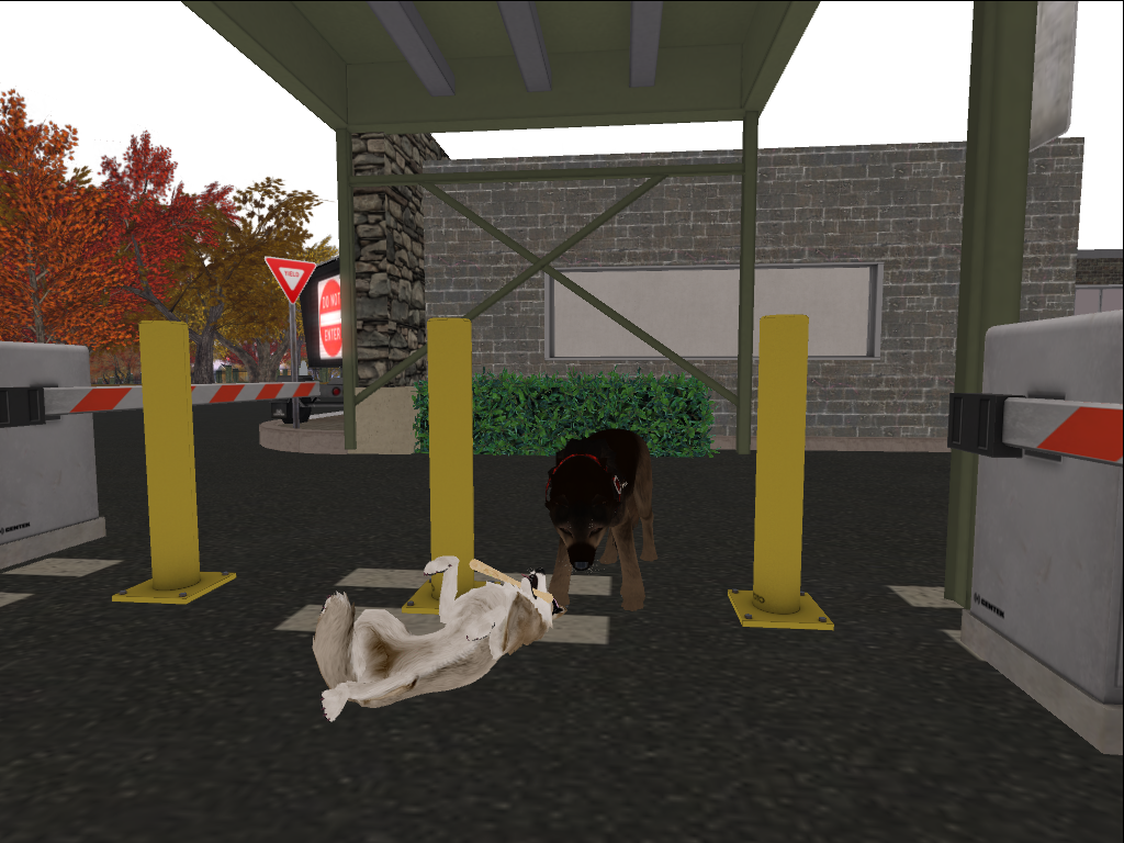 Original 5628235e3f942f136d000001