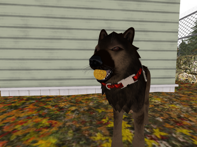 Original 562d53c7128cc954bf000001