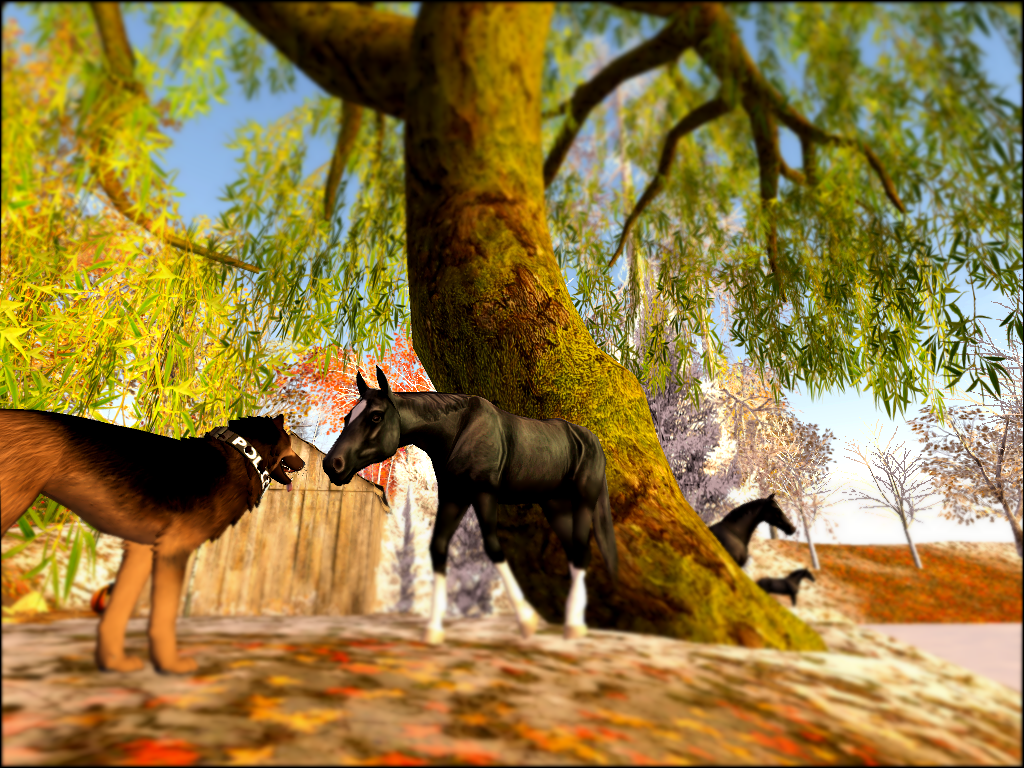 Original 565d04a49934e051b4000001