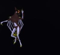 Small 5e57b42b289dd243221fef2a