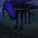 Thumb 521871434bb1d0366e000001