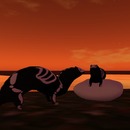 Thumb 527cc109e72d7541ed000001