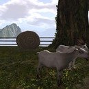 Thumb 52835d026b650e4eb2000001