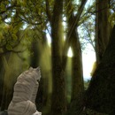 Thumb 54901cb48da5726e80000001