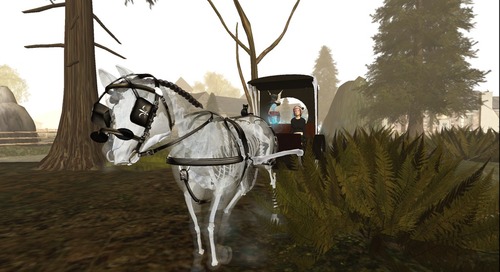 Web 5294770f98f25f63d1000001