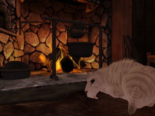 Web 52cc24848da5721a7b000001