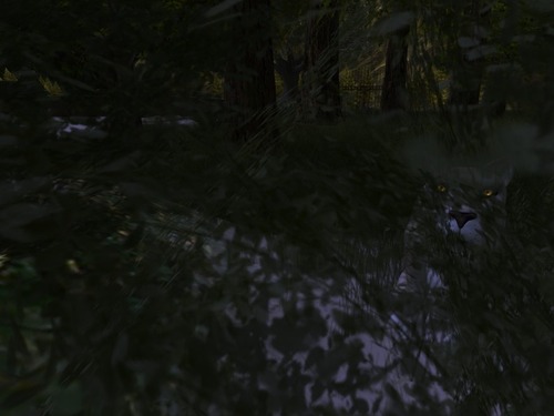 Web 5599104df8a1ec3355000001