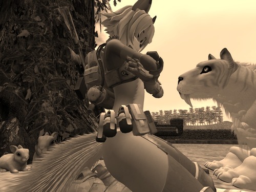 Web 55ccfcb3f8a1ec6a7f000001