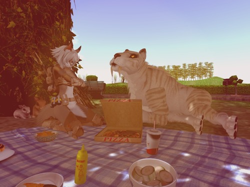 Web 55ccff4f128cc973d6000001