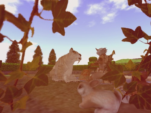 Web 55cd00f38da5722dcf000001