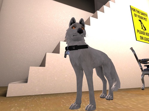 Web 561ff653128cc9265c000001