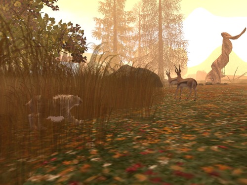 Web 562131373f942f43cf000001