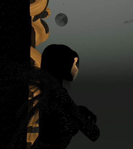 Web 5d2ddb17d774f86ecd000001