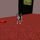 Thumb 51e56db7b0658168b1000001