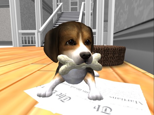 Web 526cd767e7e5ff17f6000001