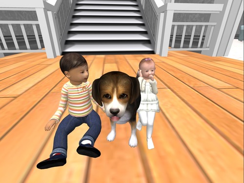 Web 527d520e85c816587b000001