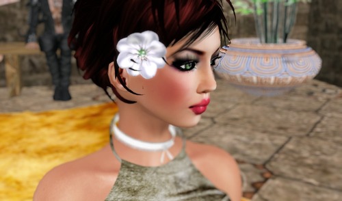 Web 559955cf8da57229e2000001