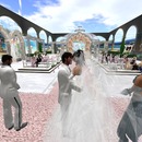 Thumb 546505a4f8a1ec556c000001