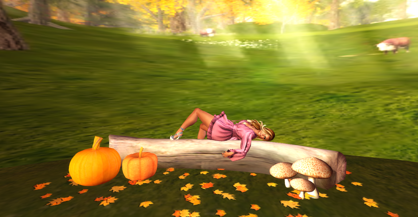 Original 54960384128cc94a68000001