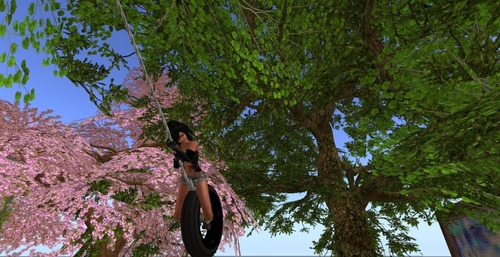 Web 500b92292eaf063c29000001