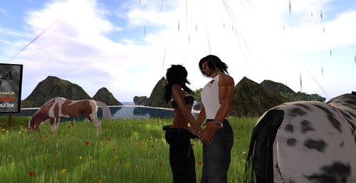 Web 50955d5ee7d4894b86000001