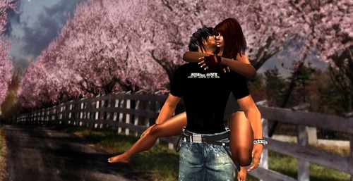 Web 5098a7de68cb9a1a22000001