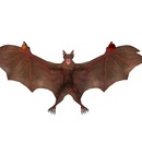 Thumb 574ed23ff8a1ec630d000001