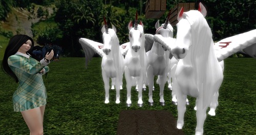 Web 572738cfe85cda0a7f000001