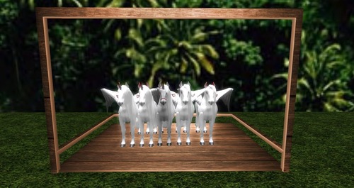 Web 57274371b713f71665000001