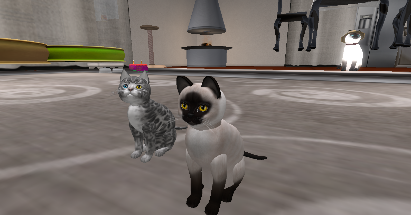 Original 50395a978f7c8a4eeb000001