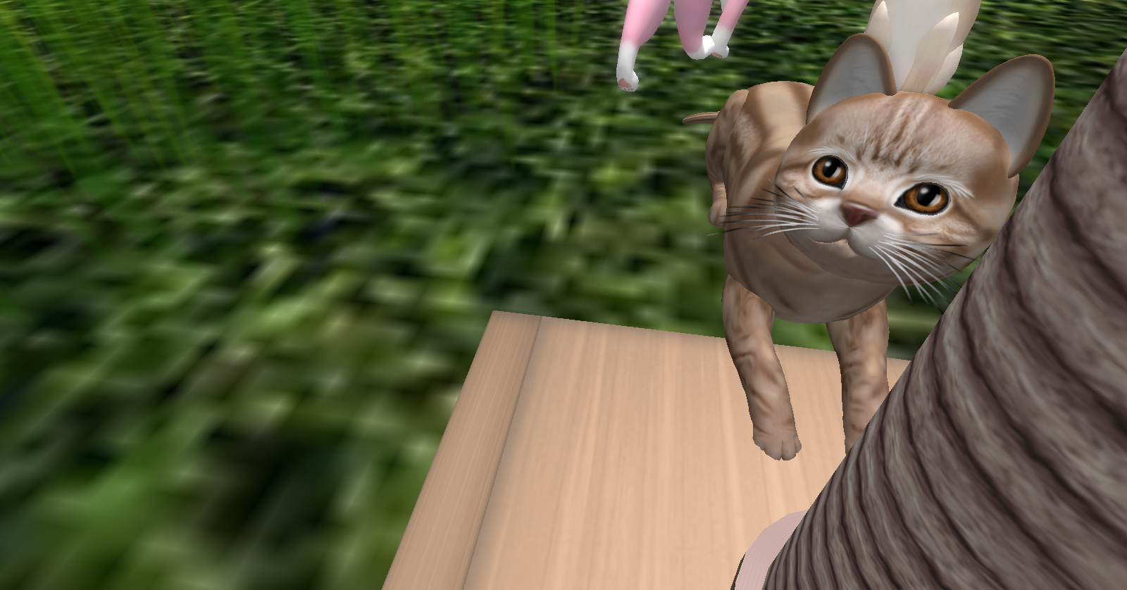 Original 5045563eb71aaa1aed000001